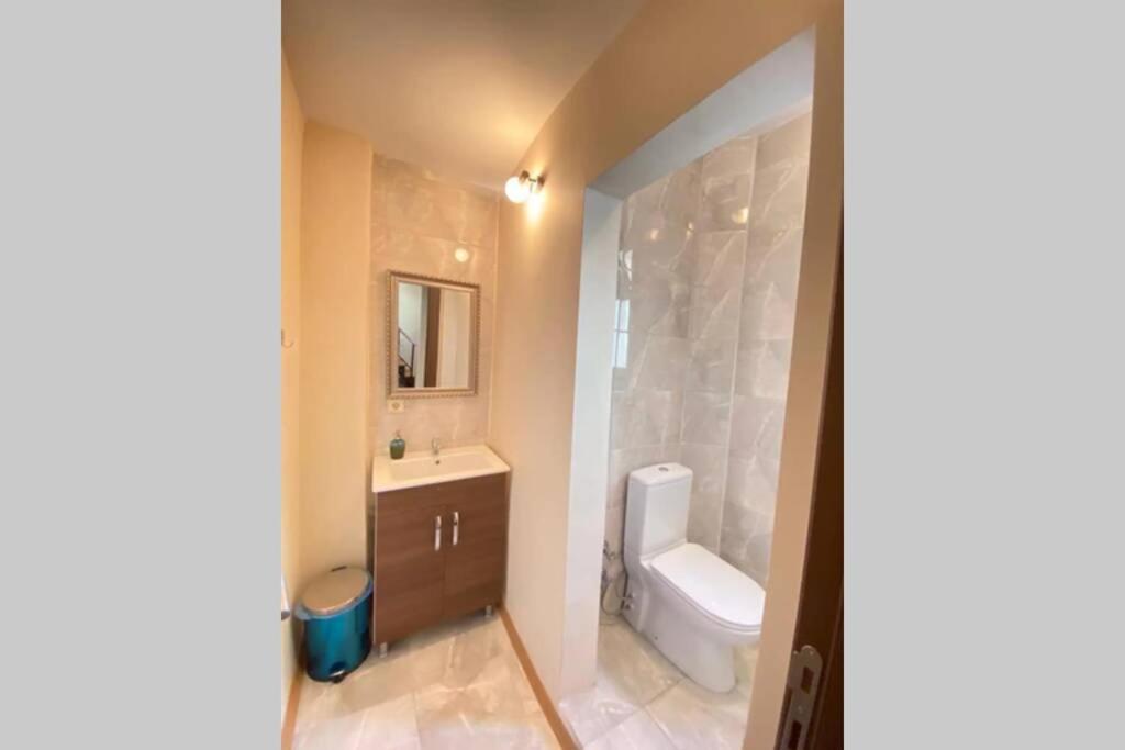 Duplex Suite Sultanahmet İstanbul Dış mekan fotoğraf
